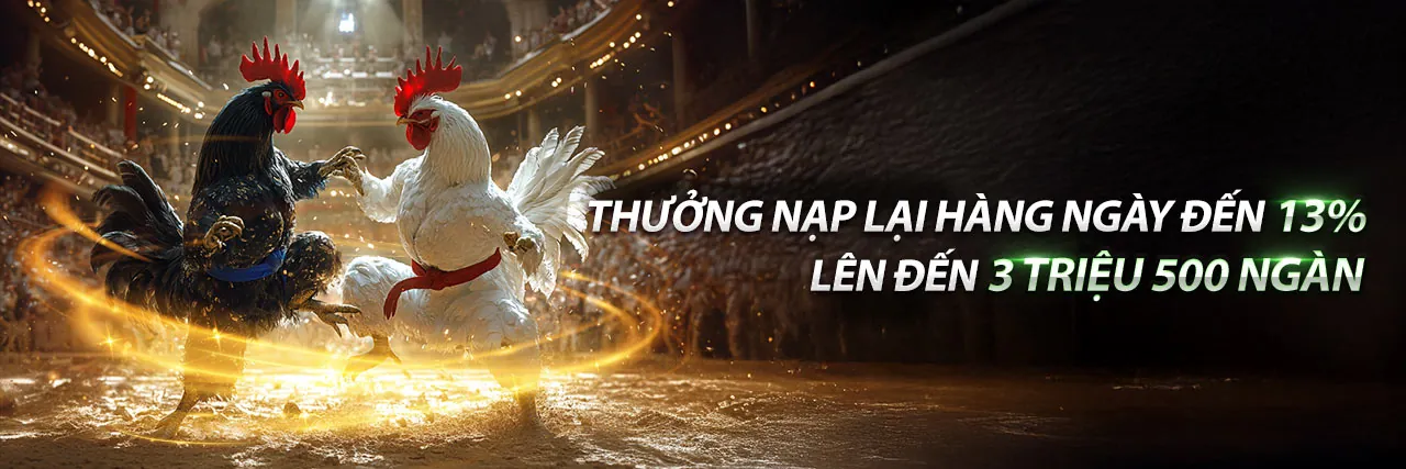 Hình ảnh đá gà trực tuyến sôi động tại axx88 nổ hũ